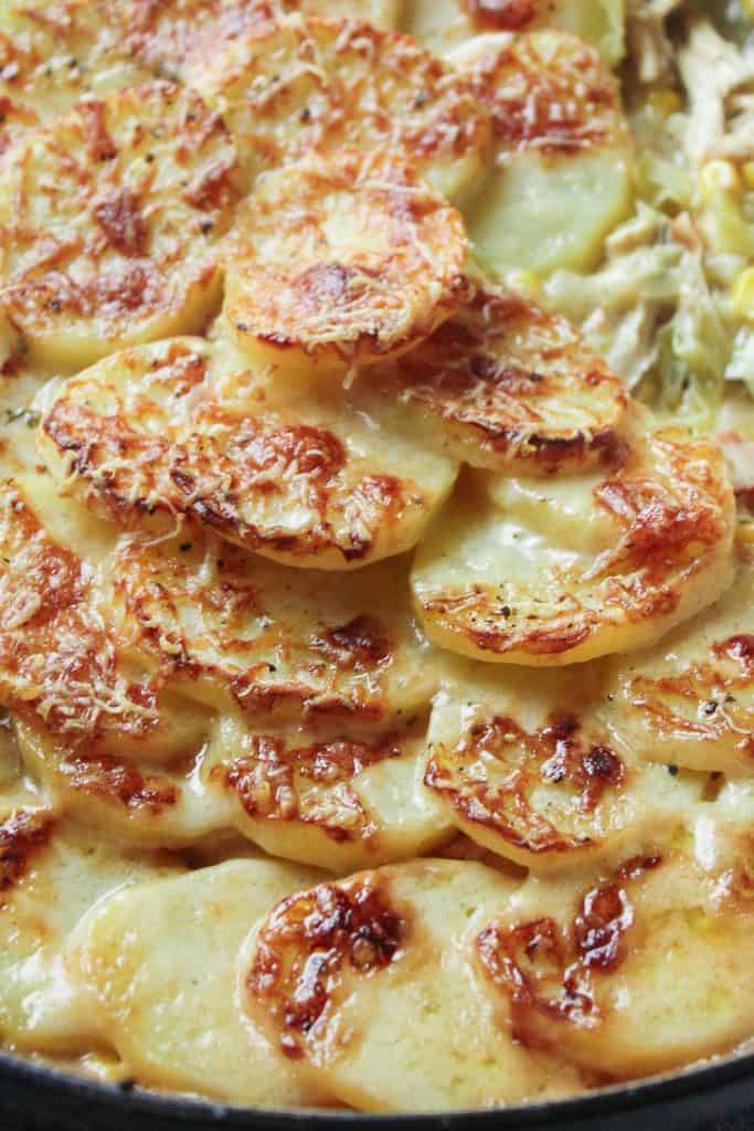 Close up of sliced potatoes cooked in a creamy white wine sauce with shredded chicken. Topped with cheese and baked until crispy. 